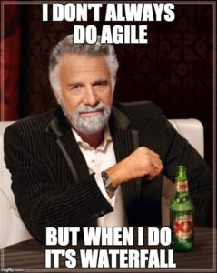 agilefall-fail