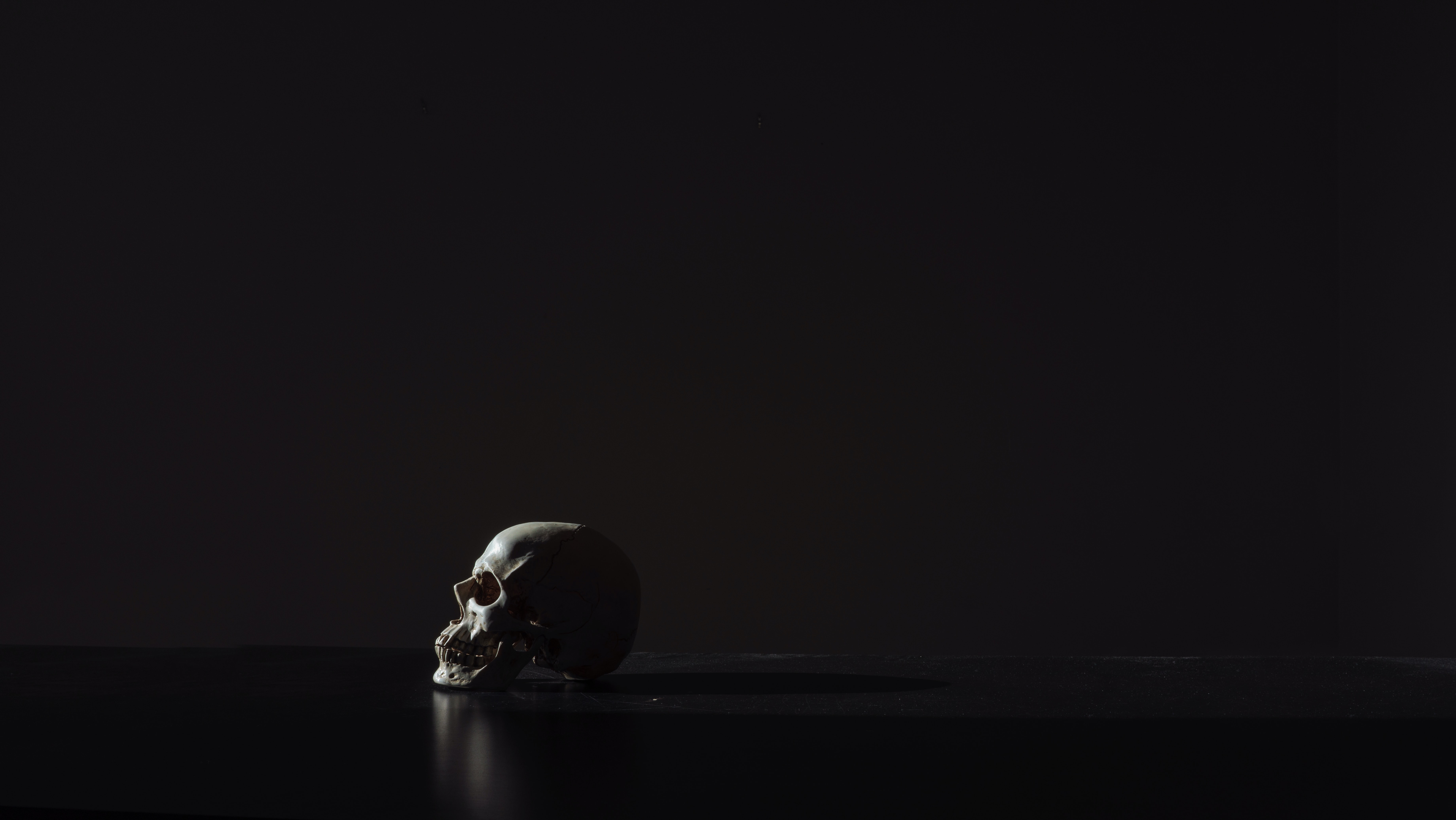 Stoic Business – Momento Mori