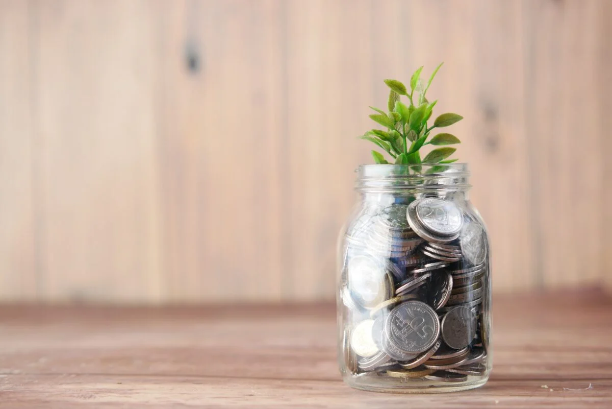 Glass jar containing coins and a small plant sprouting.